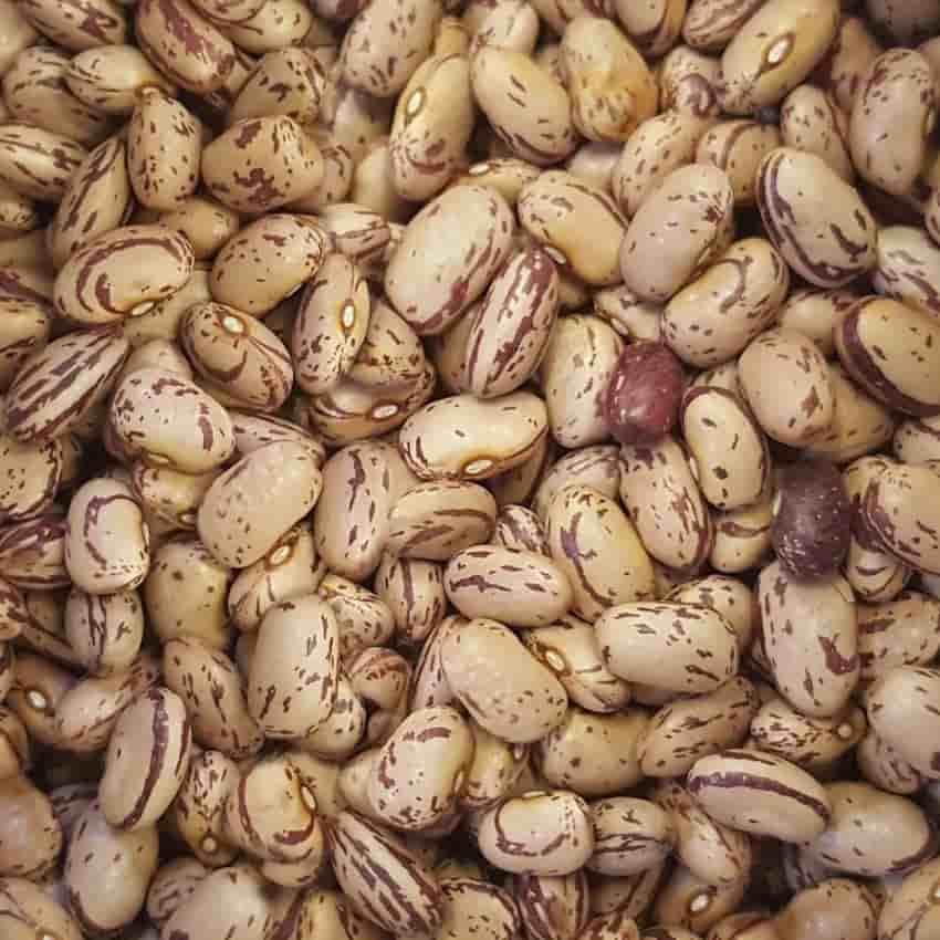 تصویر 1 از لوبیا چیتی خوش‌ طعم مقوی مطمئن