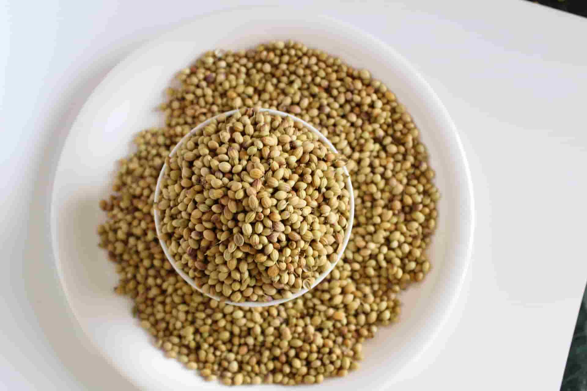 گشنیز