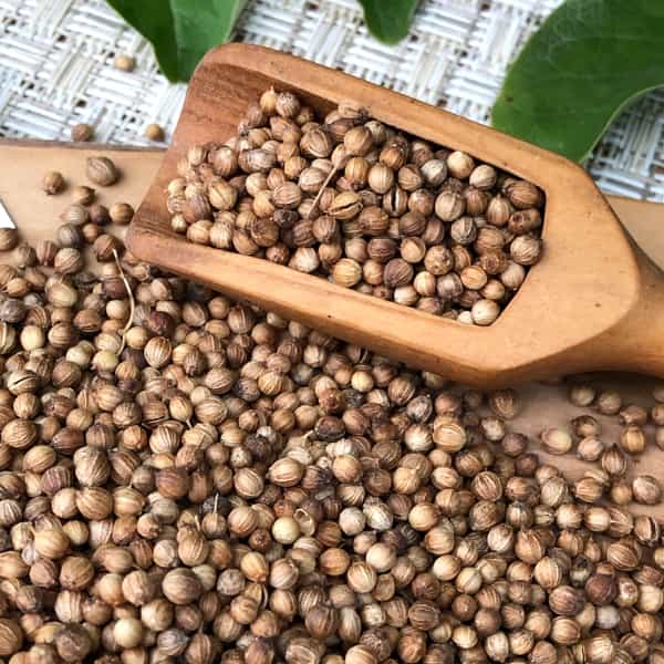 قیمت گشنیز