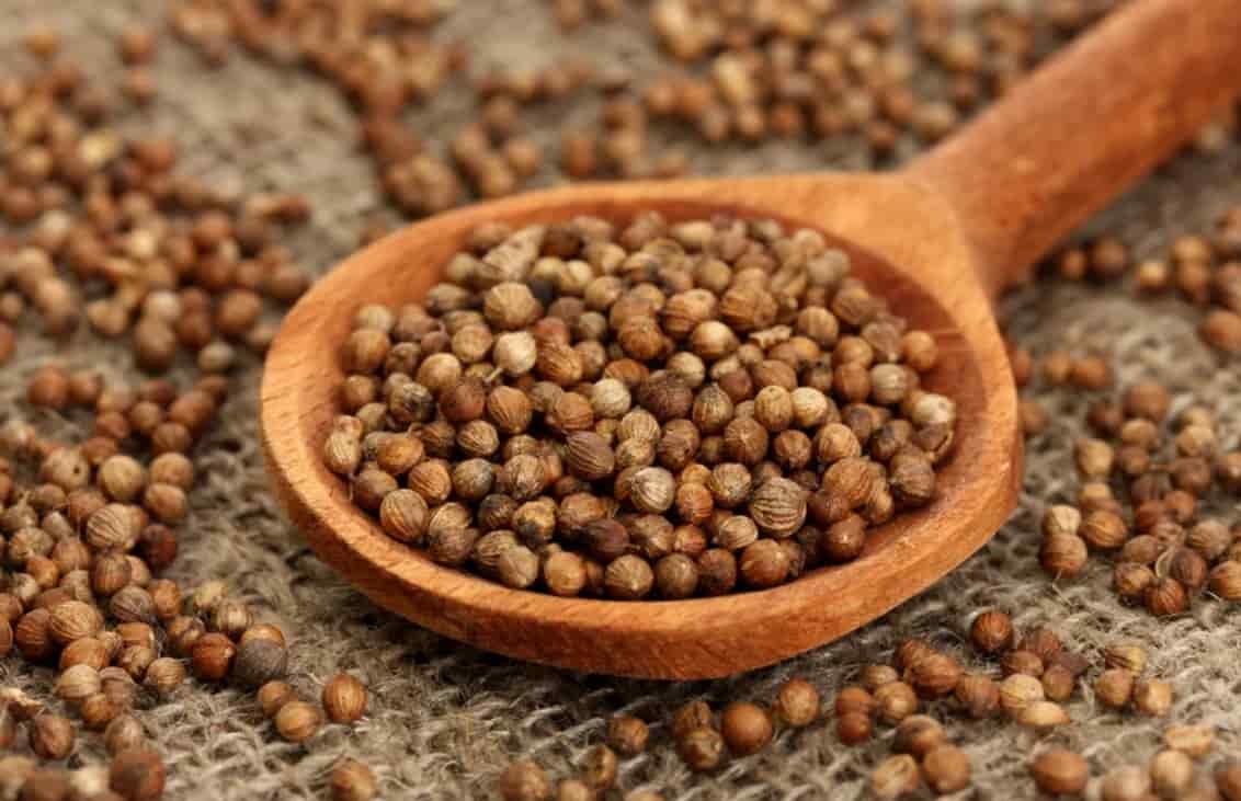 خرید گشنیز