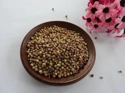 تصویر 4 از گشنیز سانا بسته بندی تازه و خوش عطر برای مصرف روزانه
