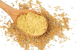پودر گشنیز