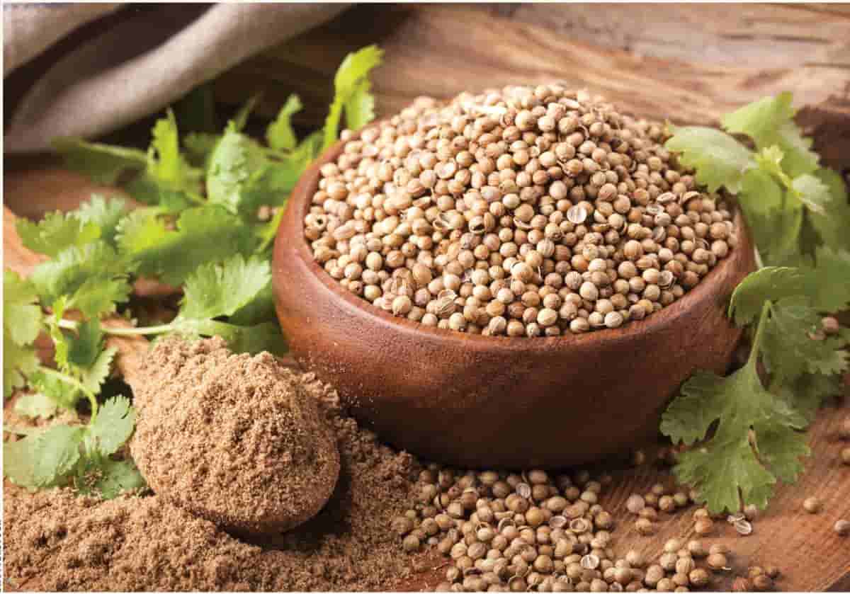 قیمت پودر گشنیز