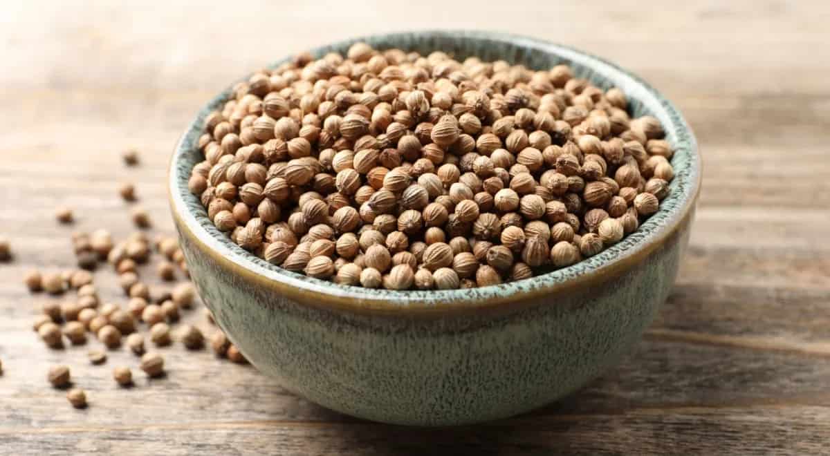خرید دانه گیاهی