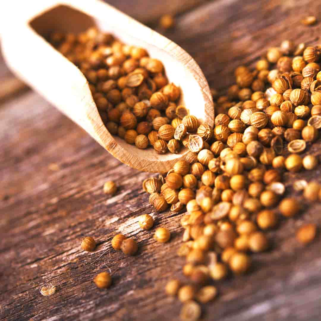 تصویر 1 از تخم گشنیز صادراتی مناسب بسته‌ بندی صادراتی و داخلی