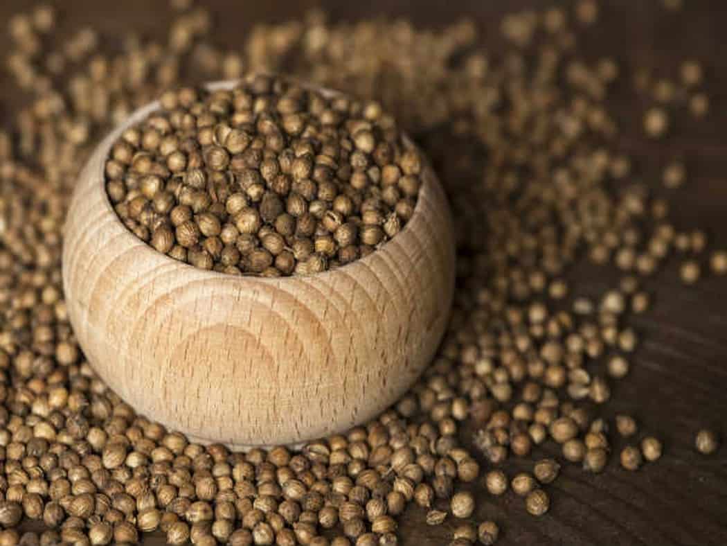 تصویر 3 از تخم گشنیز سانا سنتر کاربرد ادویه‌ ای آشپزی