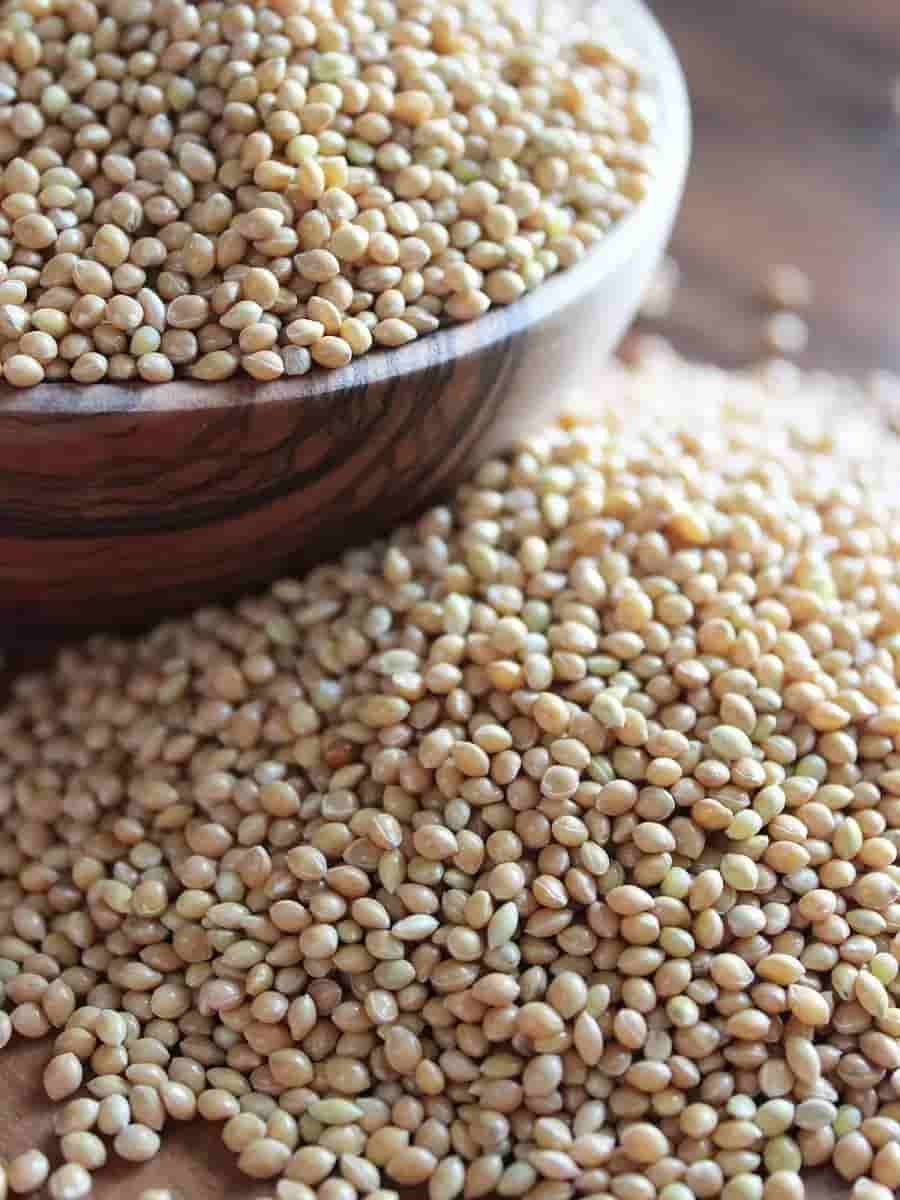 تصویر 4 از تخم گشنیز خشک فرآورده گیاه دارویی خوراکی