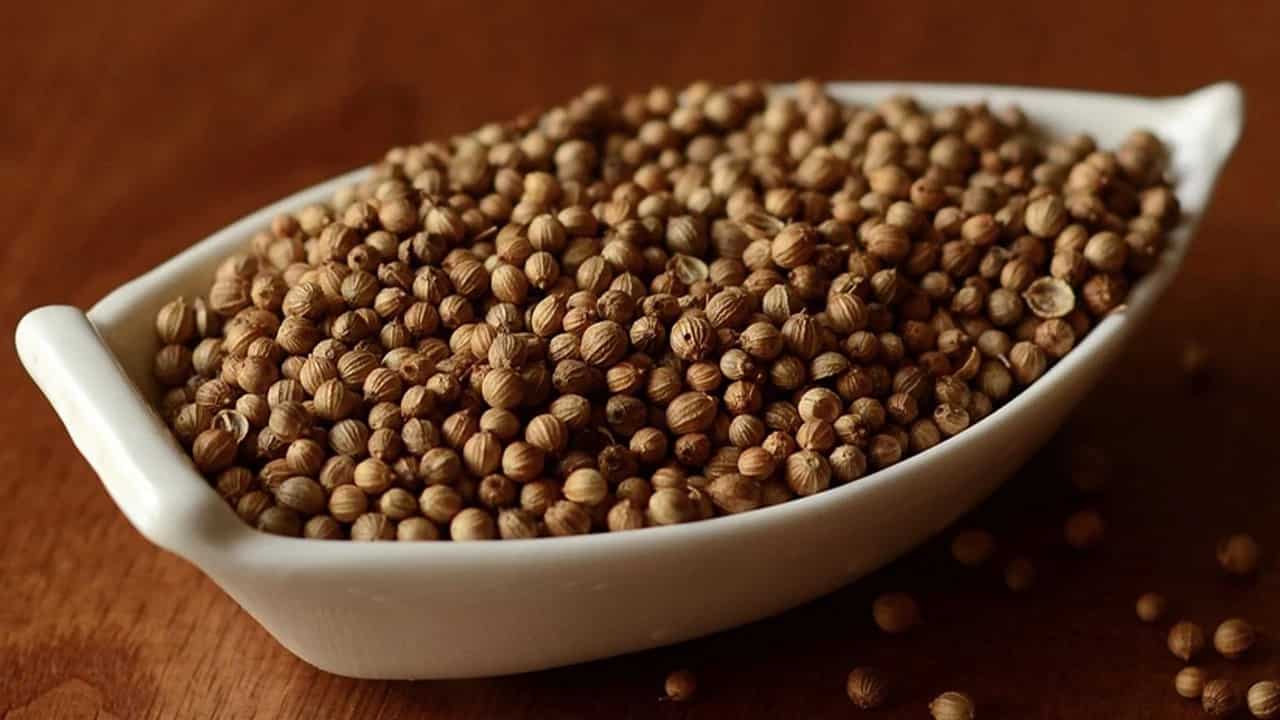 تصویر 2 از تخم گشنیز عمده تأمین پیوسته بازار مصرف