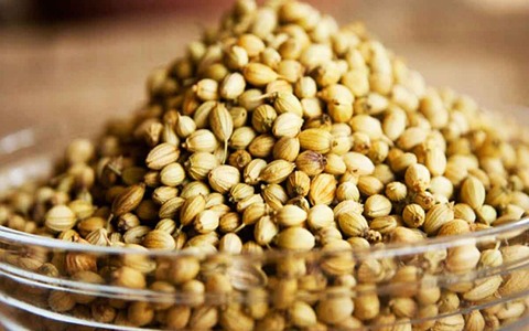 تصویر 1 از تخم گشنیز خاص مناسب ترکیب با ادویه‌ های دیگر