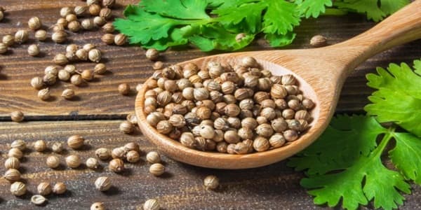تصویر 3 از تخم گشنیز خاص مناسب ترکیب با ادویه‌ های دیگر