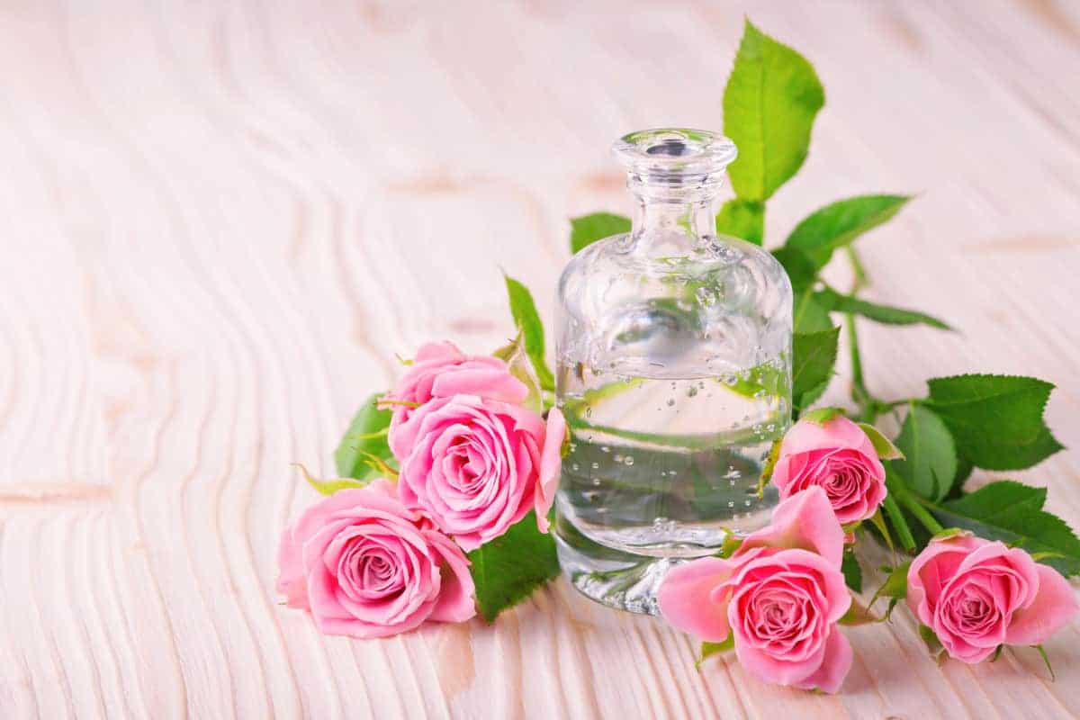 گلاب شیشه ای عالی برای تجربه اصالت و طراوت طبیعی