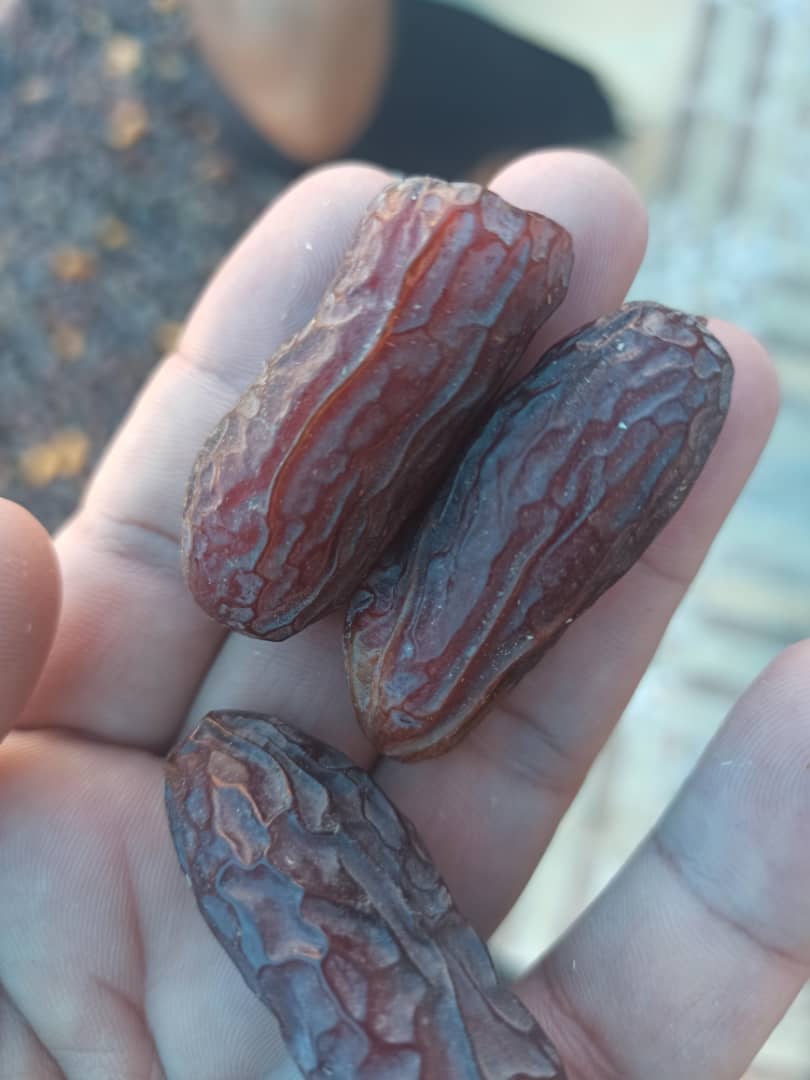 خرما پیارم ممتاز طعمی اصیل و مزه ای بی نظیر