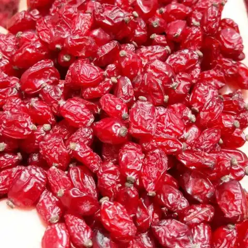تصویر 2 از خرید زرشک تازه قائن + فروش عمده