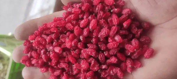 تصویر 1 از فروش زرشک پفکی صادراتی اعلا