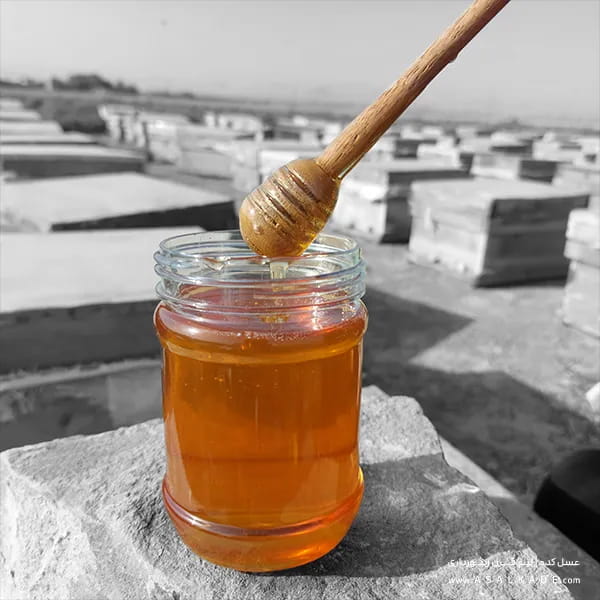 تصویر 1 از فروش عسل آویشن ارگانیک + قیمت خرید به صرفه