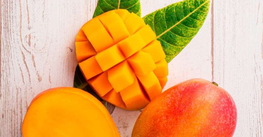 خرید و قیمت میوه انبه  + فروش صادراتی