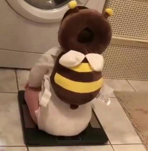 فروش بالشت