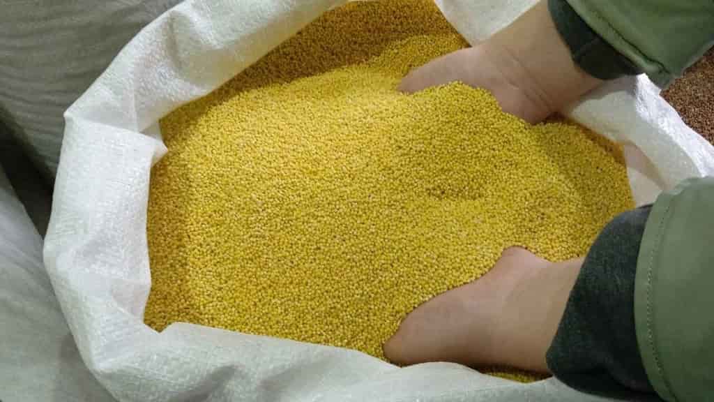 تصویر 3 از گوگرد گرانول ساوه فرمول ویژه کشاورزی حرفه‌ ای