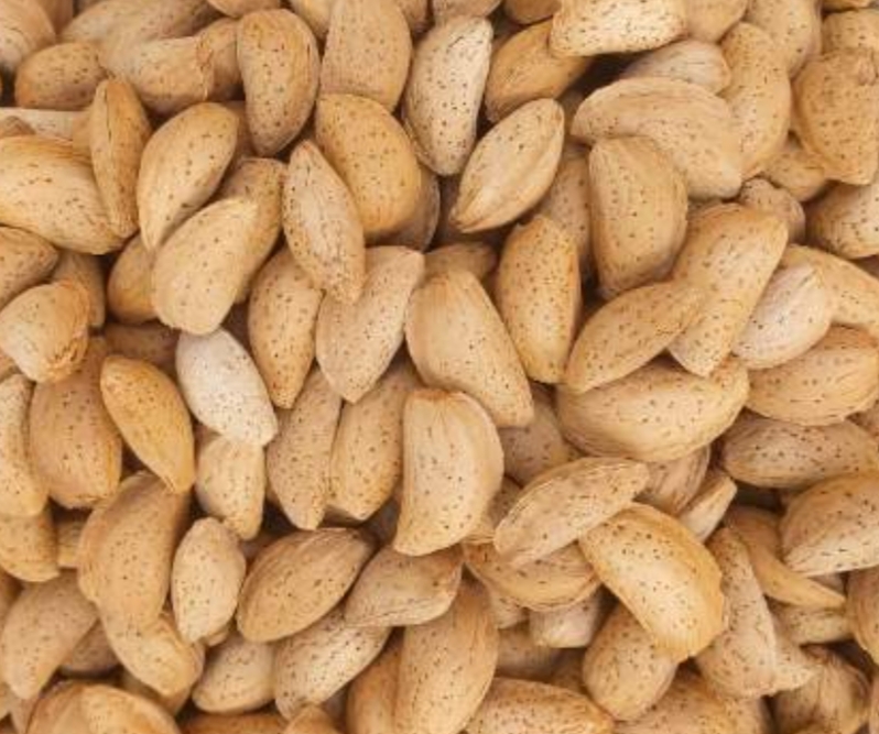 تصویر 3 از بادام مامایی با پوست نازک کاغذی و مغز سفید شیری