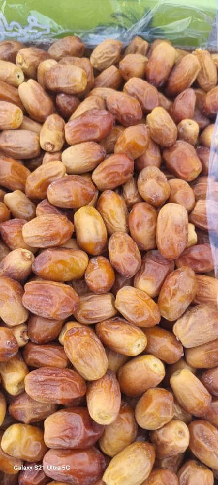 خرما زاهدی قصب بوشهر بهترین کیفیت داخلی صادراتی قیمت مناسب