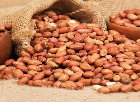 فروش بادام زمینی