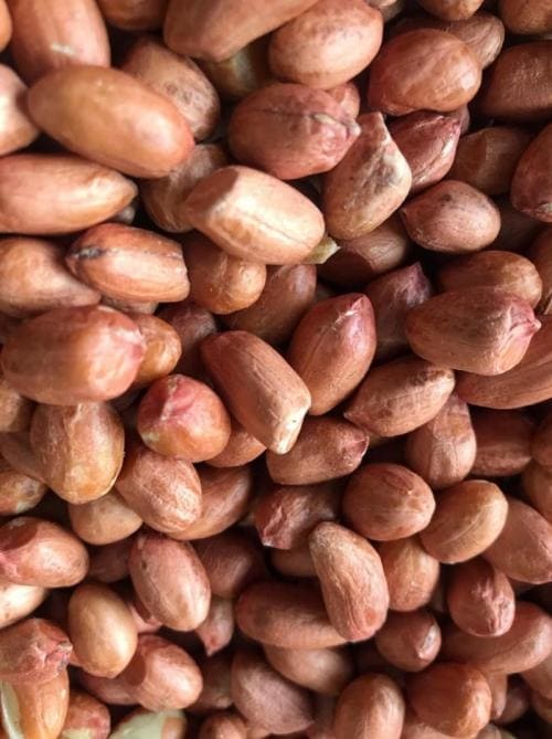 تصویر 3 از بادام زمینی هندی، محصولی وارداتی با کیفیت بالا