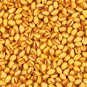 پسته کله‌ قوچی تازه و مغز دار با کیفیت عالی و ظاهر یک دست