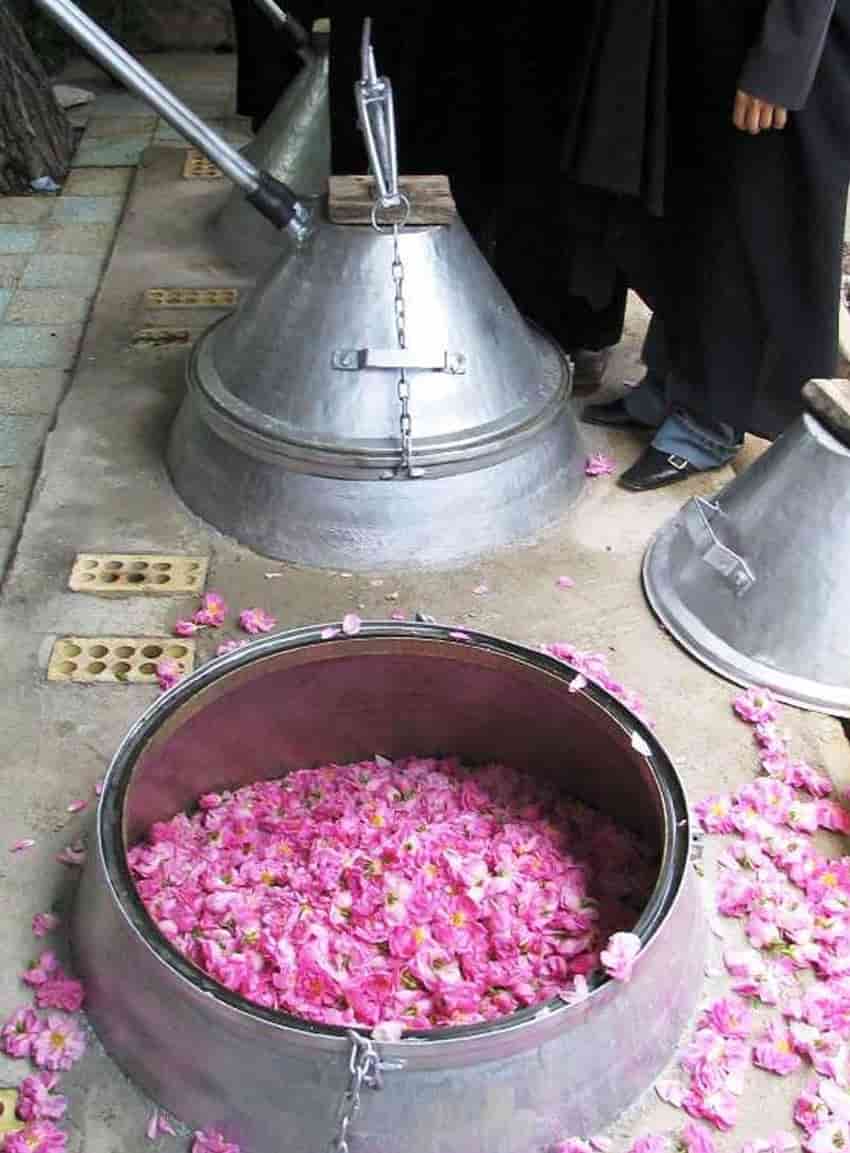 خرید گلاب شیشه ای