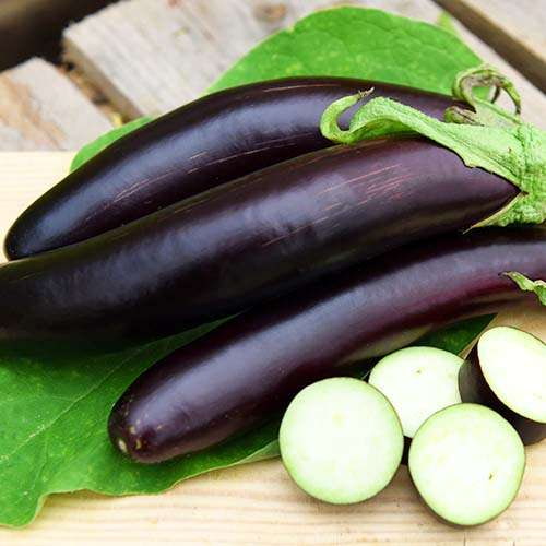 خرید بادمجان یزد
