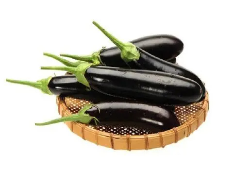 تصویر 4 از بادمجان جیحون ممتاز انتخابی عالی برای غذا های متنوع