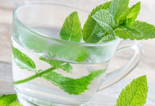 تصویر 2 از عرق نعنا غلیظ و طبیعی با طعم و عطر قوی تهیه شده از برگ‌ های تازه
