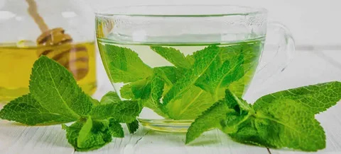 تصویر 3 از عرق نعنا غلیظ و طبیعی با طعم و عطر قوی تهیه شده از برگ‌ های تازه