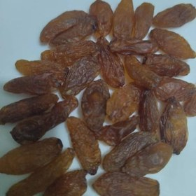 تصویر 3 از کشمش آفتابی کاشمر انتخابی عالی برای خانواده