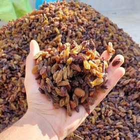 تصویر 4 از کشمش آفتابی کاشمر انتخابی عالی برای خانواده