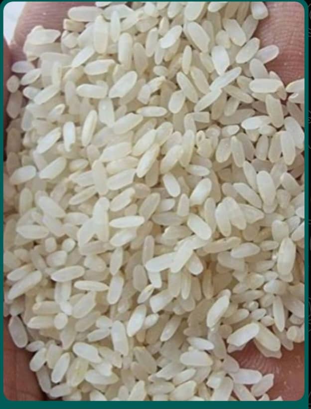 تصویر 1 از برنج کامفیروزی اصل استان فارس