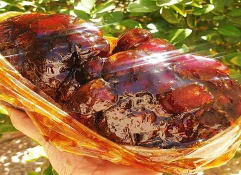 تصویر 3 از خرما کبکاب تازه چیده شده + دستچین