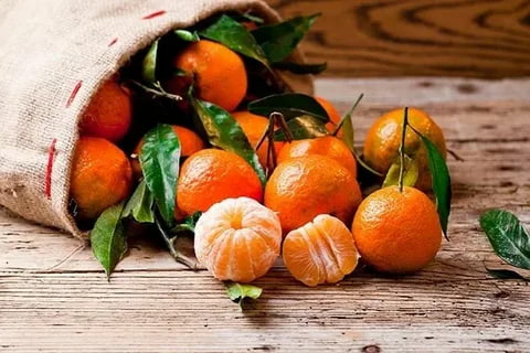 تصویر 3 از کنسانتره نارنگی رامسر با طعم تازه و بدون افزودنی
