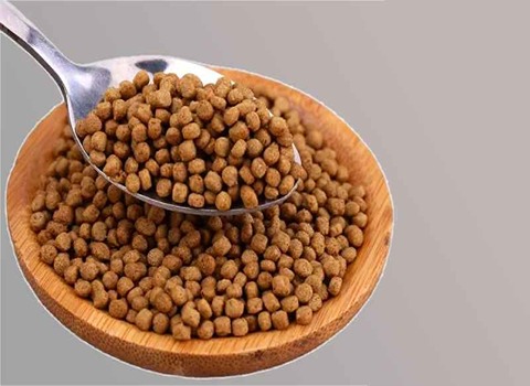 غذای ماهی شهرکرد با ارزش تغذیه‌ ای پایدار