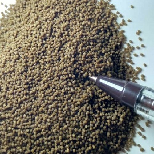 تصویر 4 از غذای ماهی شهرکرد با ارزش تغذیه‌ ای پایدار