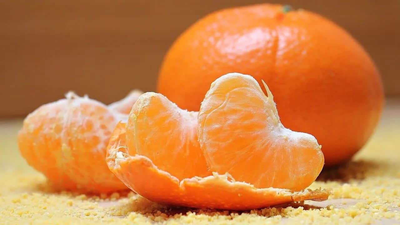 تصویر 4 از نارنگی زودرس با طعم شیرین و رسیدگی سریع