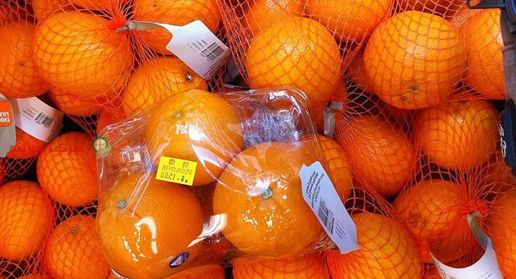 پرتقال شیراز ویژه برداشت تازه از باغ‌ های جنوب