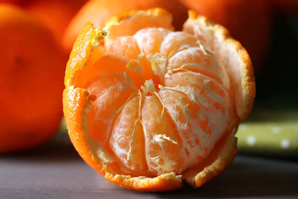 نارنگی خوشمزه با برداشت تازه و کیفیت ممتاز ضمانتی