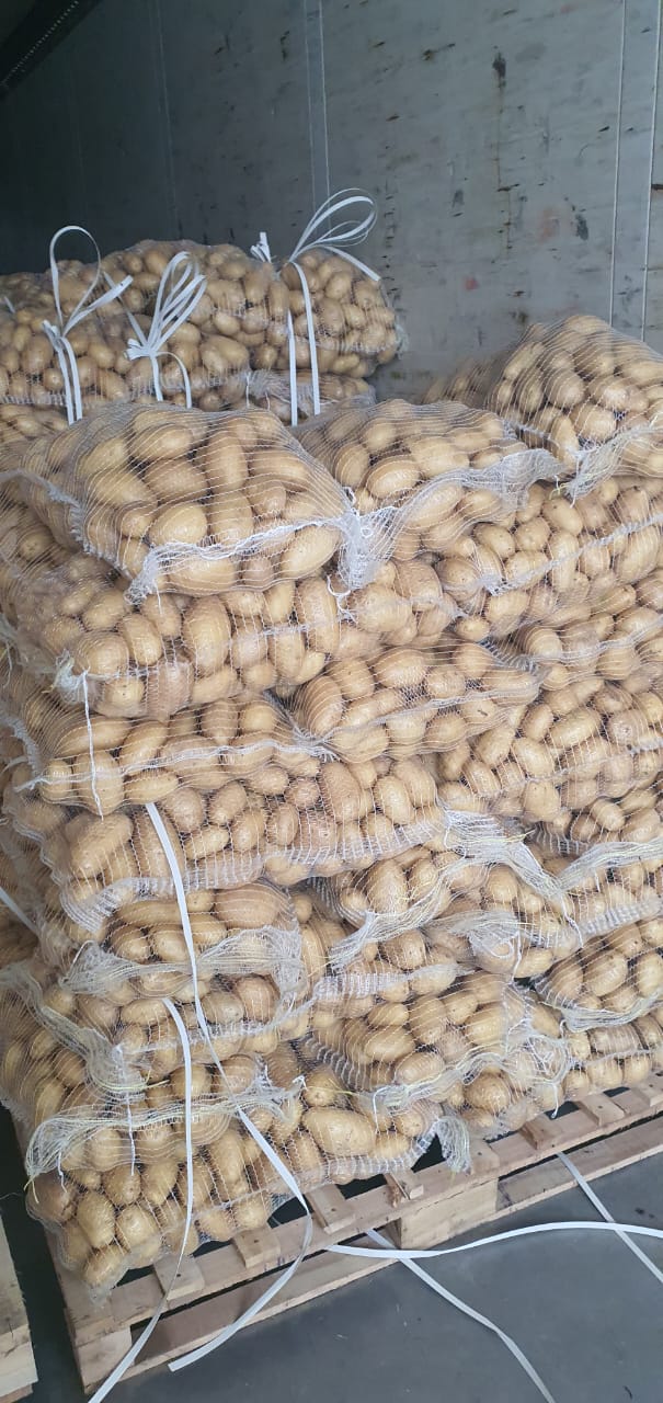 خرید سیب زمینی مخصوص