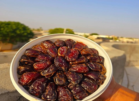 خرما کبکاب بدون شیره با طعمی دلنشین و بافتی نرم