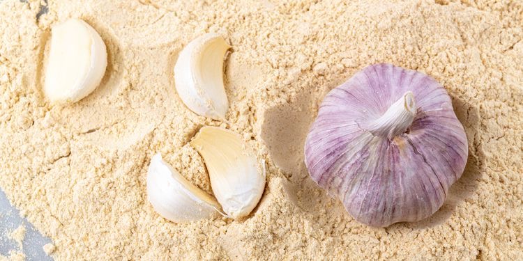 پودر سیر خشک شده خوش‌ طعم مناسب غذا