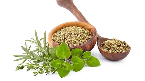 تصویر 2 از آویشن اسپانیایی مناسب آشپزی بین المللی