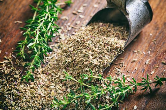تصویر 4 از آویشن رشت با ویژگی های بومی و طبیعی