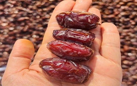 تصویر 3 از خرما کبکاب مشکین ۱۲۰۰ گرمی درجه یک ظرفی