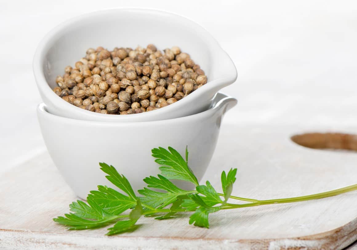 تخم گشنیز سبز با طعم طبیعی و ملایم