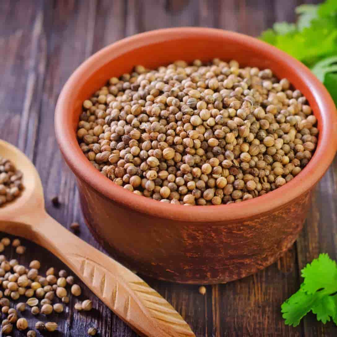 تخم گشنیز صحرایی مناسب استفاده در انواع ترشی و شور